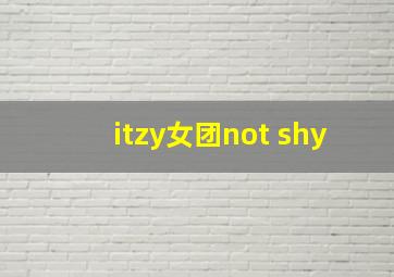 itzy女团not shy